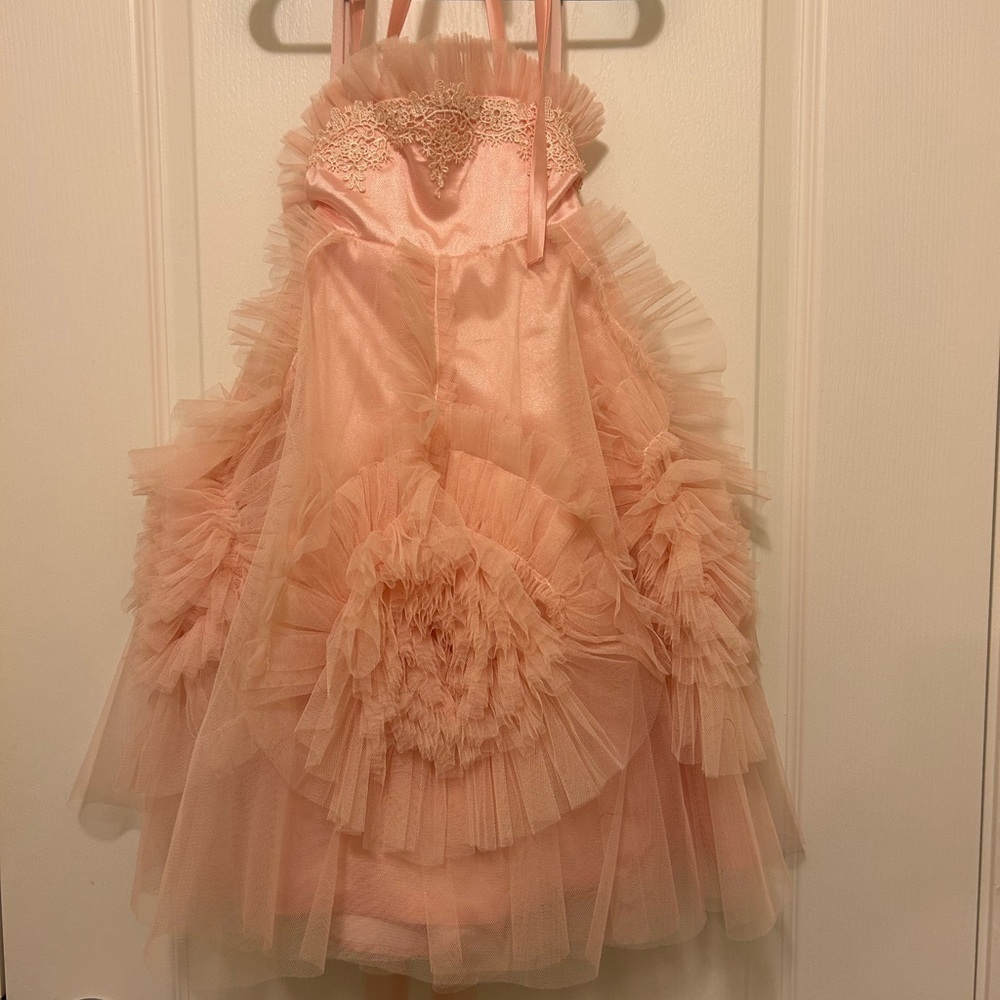 Girl fancy peach tulle dress